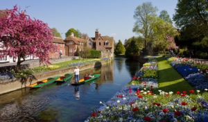 Taxi Canterbury – London City Airport from ₤140.00*